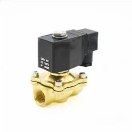 E Flavonoid Max12 Bar Solenoid Valf